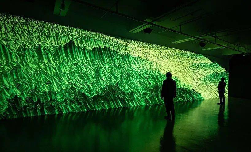 年味与花香撞个满怀！横琴多处花海盛放