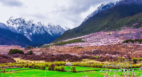 位列世界峡谷之首 春日乘热气球赏西藏雪山桃林！