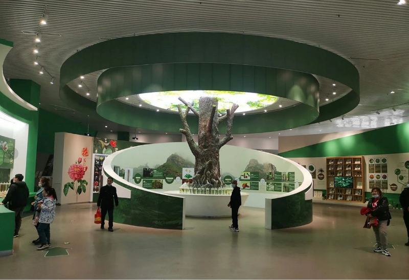 游客中心展厅